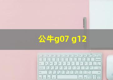 公牛g07 g12